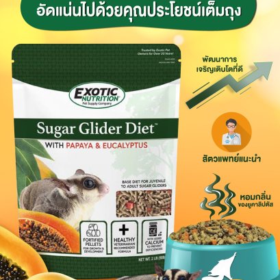  แรนดอล์ฟ-Exotic Nutrition SUGAR GLIDER DIET PAPAYA AND EUCALYPTUS ประกอบด้วยมะละกอและยูคาลิปตัส