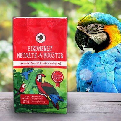  แรนดอล์ฟ BIRDNERGY อาหารนกลูกป้อนและฟื้นฟูสุขภาพ