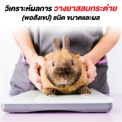 EP1. ถึง EP2. วิเคราะห์ผลการวางยาสลบกระต่าย (พอสังเขป) ชนิด ขนาดและผล