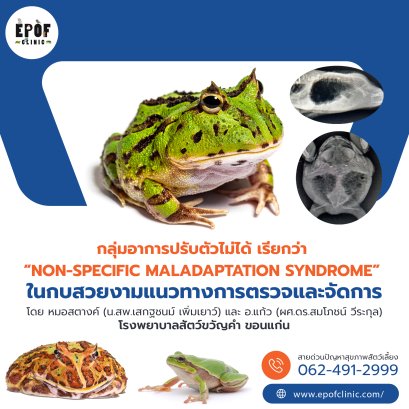 กลุ่มอาการปรับตัวไม่ได้ เรียกว่า “non-specific maladaptation syndrome” ในกบสวยงามแนวทางการตรวจและจัดการ