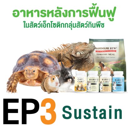 ep3. อาหารหลังการฟื้นฟู sustain