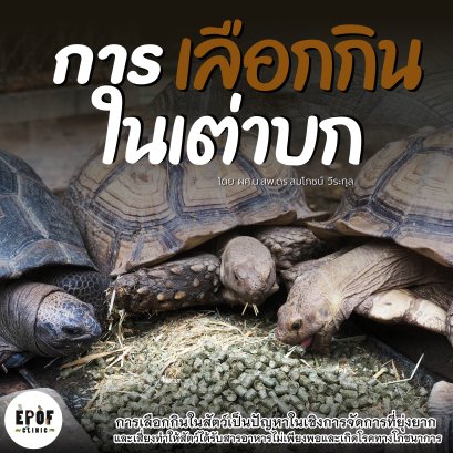 Feeding Selection in Tortoises