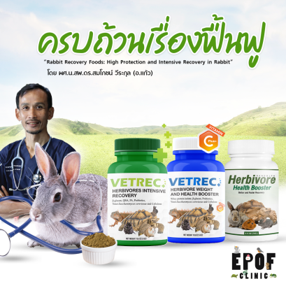 อัพเดตอาหารกระต่าย: ครบถ้วนเรื่องฟื้นฟู “Ubdate! Rabbit Recovery Foods: High Protection and Intensive Recovery in Rabbit”