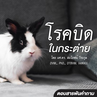 ตอบสารพันคำถาม “โรคบิดในกระต่าย”