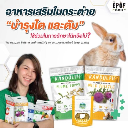 อาหารเสริมในกระต่าย “บำรุงไต และตับ”  ใช้ร่วมในการรักษาได้หรือไม่?