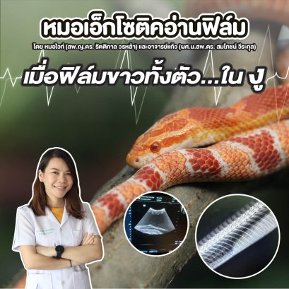 “เมื่อฟิล์มขาวทั้งตัว…ในงู”