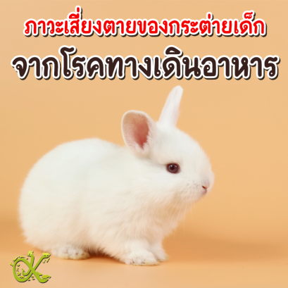 ภาวะเสี่ยงตายของกระต่ายเด็กจากโรคทางเดินอาหาร  ตอนที่ 1 กลุ่มโรคที่เกิดจากอาหาร (Diet-Related Diseases)