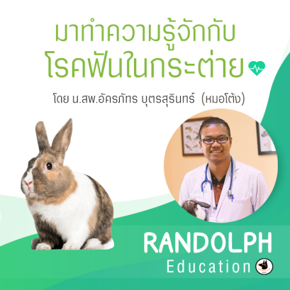 มาทำความรู้จักกับโรคฟันในกระต่าย