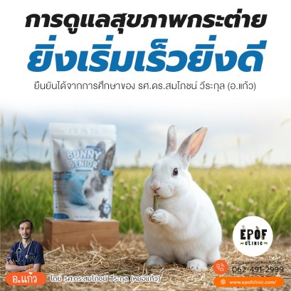 การดูแลสุขภาพกระต่ายยิ่งเริ่มเร็วยิ่งดี ยืนยันได้จากการศึกษาของ รศ.ดร.สมโภชน์ วีระกุล (อ.แก้ว)