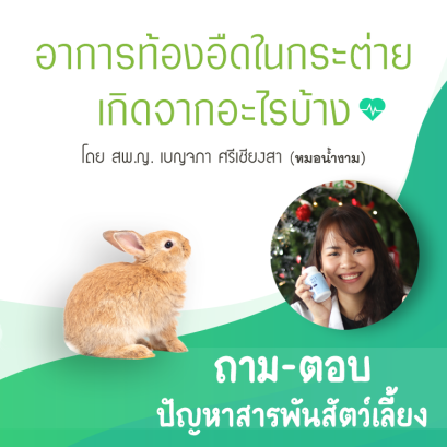  โรคท้องอืดในกระต่าย เกิดจากอะไรได้บ้าง ?