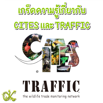 เกร็ดความรู้เกี่ยวกับ CITES และ TRAFFIC