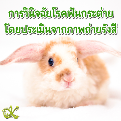 การวินิจฉัยโรคฟันกระต่ายโดยประเมินจากภาพถ่ายรังสี