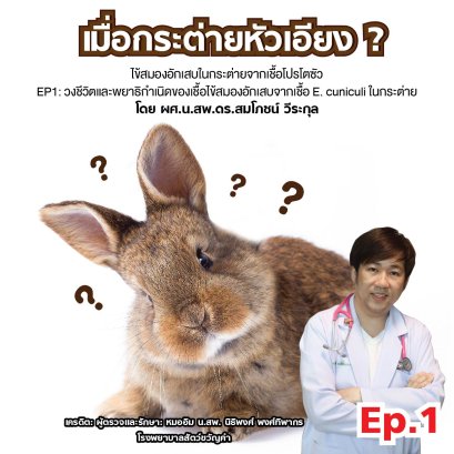 เมื่อกระต่ายหัวเอียง? ไข้สมองอักเสบในกระต่ายจากเชื้อโปรโตซัว EP1: วงชีวิตและพยาธิกำเนิดของเชื้อไข้สมองอักเสบจากเชื้อ E. cuniculi ในกระต่าย
