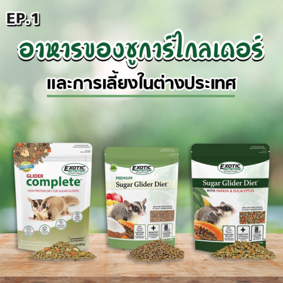 อาหารของชูการ์ไกลเดอร์และการเลี้ยงในต่างประเทศ