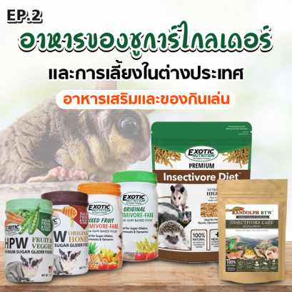 อาหารของชูการ์ไกลเดอร์และการเลี้ยงในต่างประเทศ  EP2. อาหารเสริมและของกินเล่น