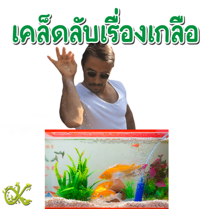 เคล็ดลับเรื่องเกลือ