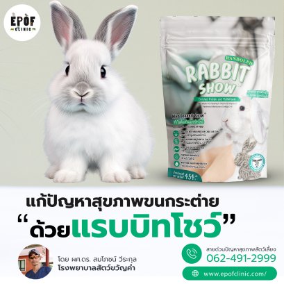 แก้ปัญหาสุขภาพขนกระต่ายด้วยแรบบิทโชว์
