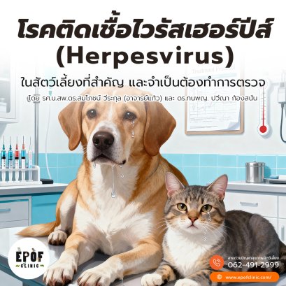 โรคติดเชื้อไวรัสเฮอร์ปีส์ (Herpesvirus)ในสัตว์เลี้ยงที่สำคัญ และจำเป็นต้องทำการตรวจ