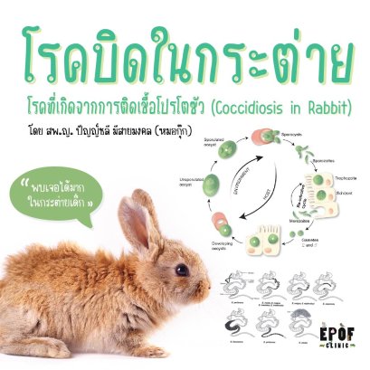 Coccidiosis in Rabbit (โรคที่เกิดจากการติดเชื้อโปรโตซัว)