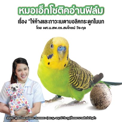 หมอเอ็กโซติคอ่านฟิล์ม เรื่อง “ไข่ค้างและภาวะเมตาบอลิคกระดูกในนก”