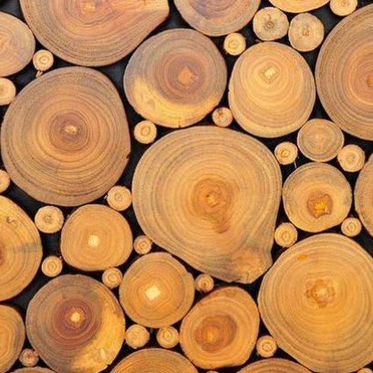 ประเภทไม้