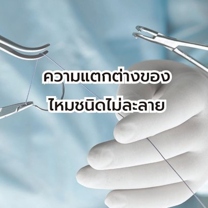 ความแตกต่างของ ไหมชนิดไม่ละลาย