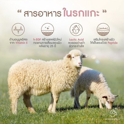 สารอาหารในรกแกะ