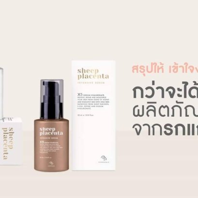 กว่าจะได้รกแกะ