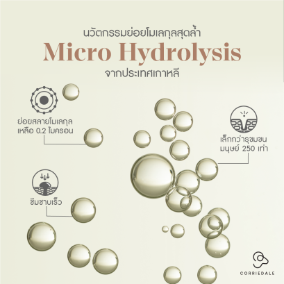 กระบวนการนวัตกรรม Micro Hydrolysis ของรกแกะ ในเซรั่มรกแกะคอร์ริเดล Corriedale Sheep Placenta