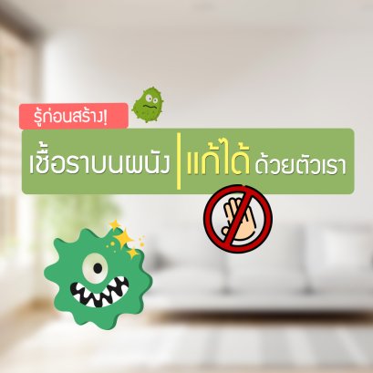 เชื้อราบนผนังบ้าน แก้ได้ ด้วยตัวเอง