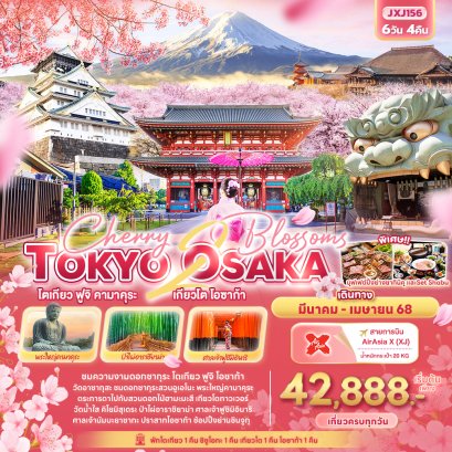 Cherry 2 blossoms TOKYO OSAKA โตเกียว ฟูจิ คามาคุระ เกียวโต โอซาก้า 6วัน4คืน