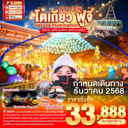 TOKYO HAKONE FUJI ILlUMINATION 5 วัน 3 คืน ไฟก็วิ้ง แมวก็ว๊าว วัดก็เก๋า เราเลยไป!