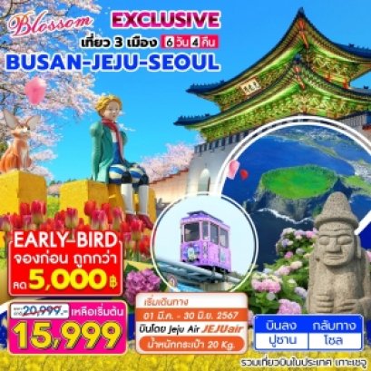 เกาหลี EXCLUSIVE BUSAN JEJU SEOUL 6 วัน 4 คืน