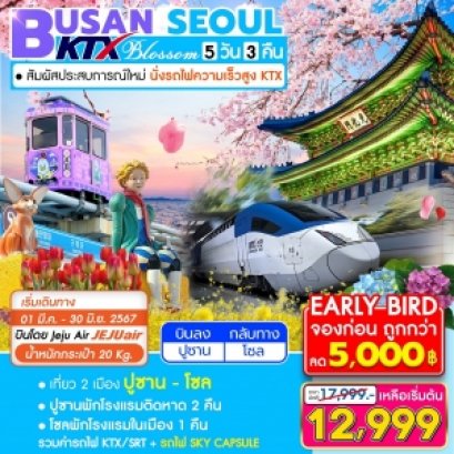 เกาหลี Busan Seoul Blossom 5 วัน 3 คืน นั่งรถไฟความเร็วสูง
