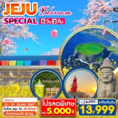 Jeju Special Package Blossom 5 วัน 3 คืน