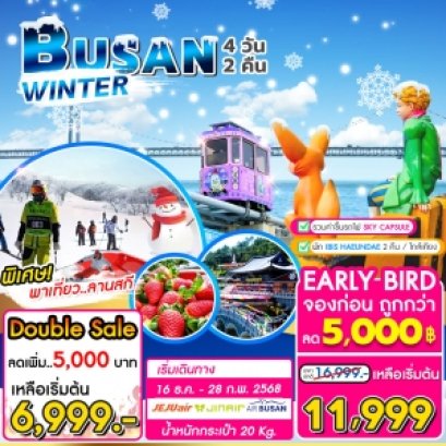 Busan Winter Gold Package Sky Capsule สกีรีสอร์ท 4 วัน 2 คืน