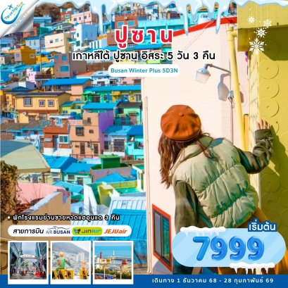 ปูซาน อิสระ winter 5 วัน 3 คืน