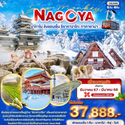 NAGOYA นากาโน่ ลิงออนเซ็น ชิราคาวาโกะ ทาคายาม่า 6 วัน 4 คืน