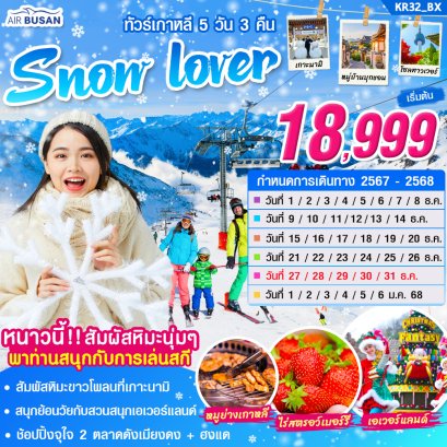 เกาหลี SNOW LOVER เกาะนามิ เอเวอร์แลนด์ 5 วัน 3 คืน