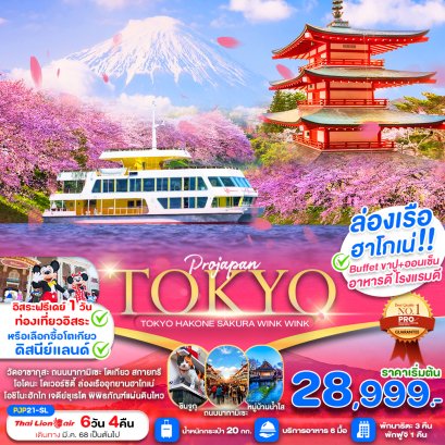 TOKYO HAKONE SAKURA WINK WINK FREE DAY 6 วัน 4 คืน