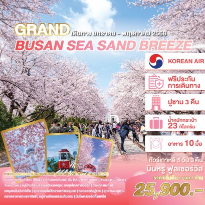 เกาหลี ปูซาน GRAND BUSAN SEA SAND BREEZE 5 วัน 3 คืน