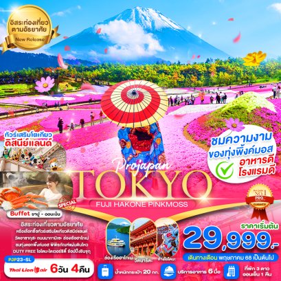 TOKYO FUJI HAKONE PINK MOSS ฟรีเดย์ 6 วัน 4 คืน