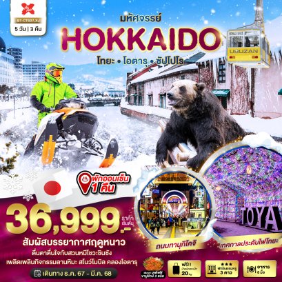 HOKKAIDO โทยะ โอตารุ ซัปโปโร 5 วัน 3 คืน