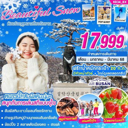 เกาหลี ซอรัคซาน BEAUTIFUL SNOW 5 วัน 3 คืน