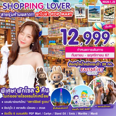 เกาหลี โซล SHOPPING LOVER 6 แบรนด์ดัง 5 วัน 3 คืน