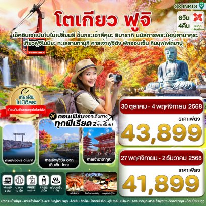 โตเกียว ฟูจิ อิบารากิ ใบไม้เปลี่ยนสี เที่ยวเต็ม 6 วัน 4 คืน