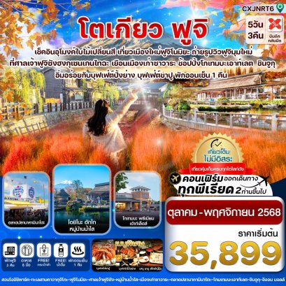 โตเกียว ฟูจิ อุโมงค์เมเปิ้ล ใบไม้เปลี่ยนสี 5 วัน 3 คืน