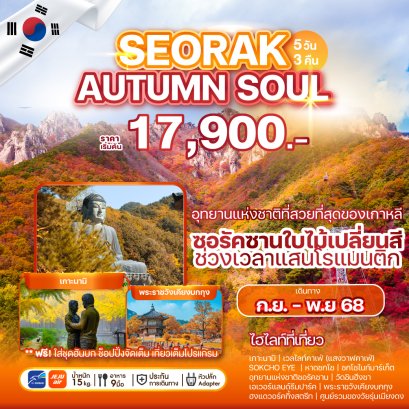 ซอรัค โซล SEORAK AUTUMN SOUL 5 วัน 3 คืน