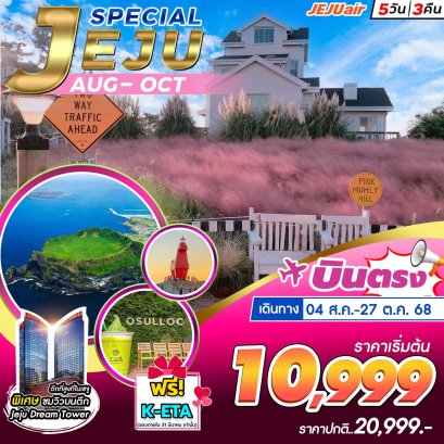 Jeju Special Package Aug,Sep,Oct 5 วัน 3 คืน เที่ยวเต็ม
