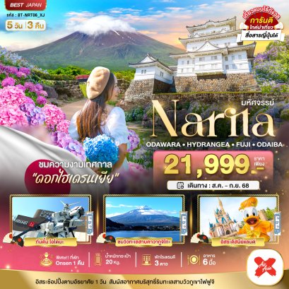 มหัศจรรย์ NARITA โอดาวาระ ไฮเดรนเยีย ฟูจิ โอไดบะ 5 วัน 3 คืน